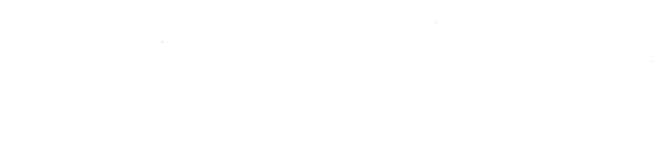 Global Fraud Protection