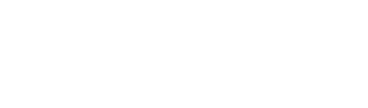 Global Fraud Protection